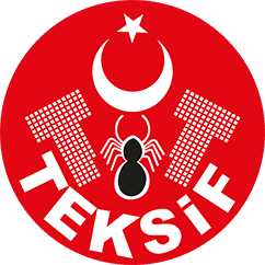 Teksif