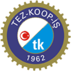 Tez-Koop-İş