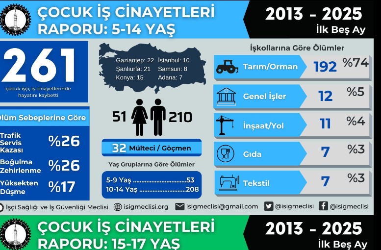 770 Çocuk İşçi Hayatını Kaybetti: Çocuk İşçiliğine Karşı Mücadele Çağrısı