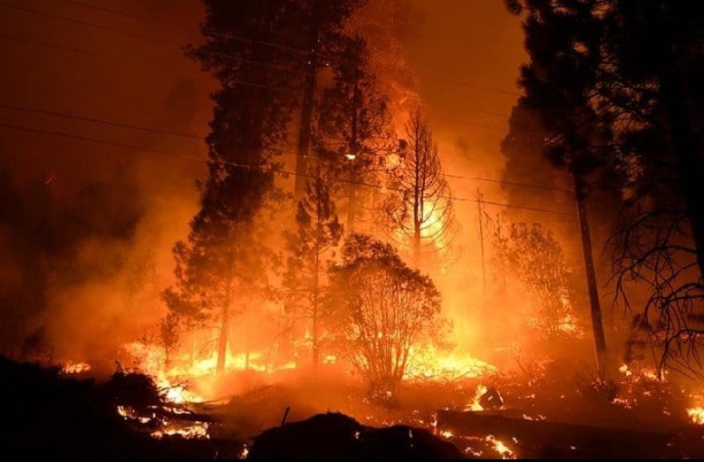 Birleşik Metal-İş Issues Strong Protest Against Forest Fires: "THK Planes Must Be Nationalized, 2B Application Halted"