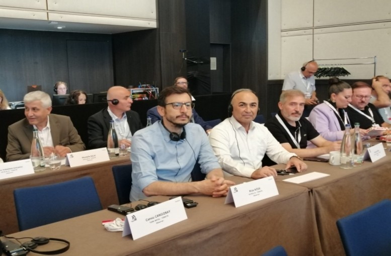 Petrol-İş Union Addresses Global Worker Rights at IndustriALL Global Union Executive Committee Meeting