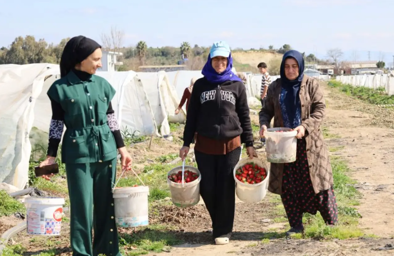 Women Greenhouse Workers in Antalya: “We Still Have to Work on International Women’s Day”